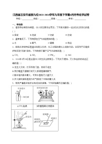 江西省吉安市省级九校2023-2024学年九年级下学期4月月考化学试卷(含答案)