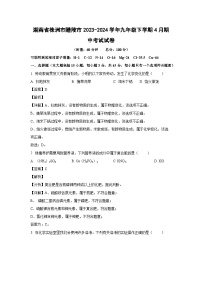[化学][期中]湖南省株洲市醴陵市2023-2024学年九年级下学期4月期中考试试卷(解析版)