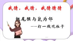 初中化学人教版 (五四制)八年级全册课题2 氧气公开课课件ppt