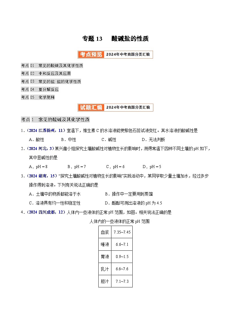 专题13 酸碱盐的性质(学生卷)- 2024年中考化学真题分类汇编(全国通用)第1页