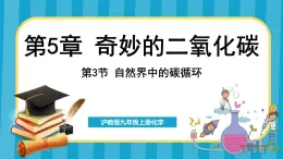 5.3 自然界中的碳循环（课件）---2024-2025学年九年级化学沪教版（全国）(2024)上册