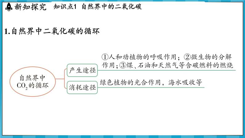5.3 自然界中的碳循环(课件)---2024-2025学年九年级化学沪教版(全国)(2024)上册03