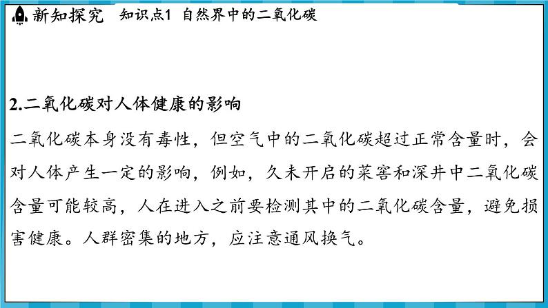 5.3 自然界中的碳循环(课件)---2024-2025学年九年级化学沪教版(全国)(2024)上册05
