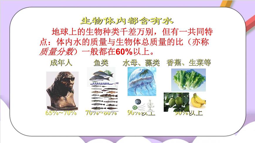 人教版（五四制）八年級(jí)全冊(cè)化學(xué)  4.3 水的組成 課件第5頁