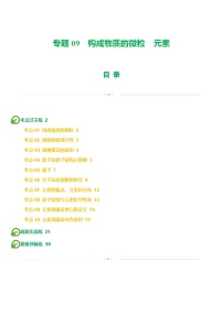 专题09 构成物质的微粒 元素（练习）-中考化学一轮复习讲练测（全国通用）（解析版）