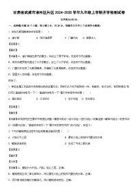 [化学]甘肃省武威市凉州区片区2024-2025学年九年级上学期开学检测试卷(解析版)