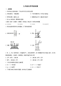 山東省濰坊市諸城市南湖學校2024-2025學年九年級上學期開學考試化學試題（原卷版+解析版）