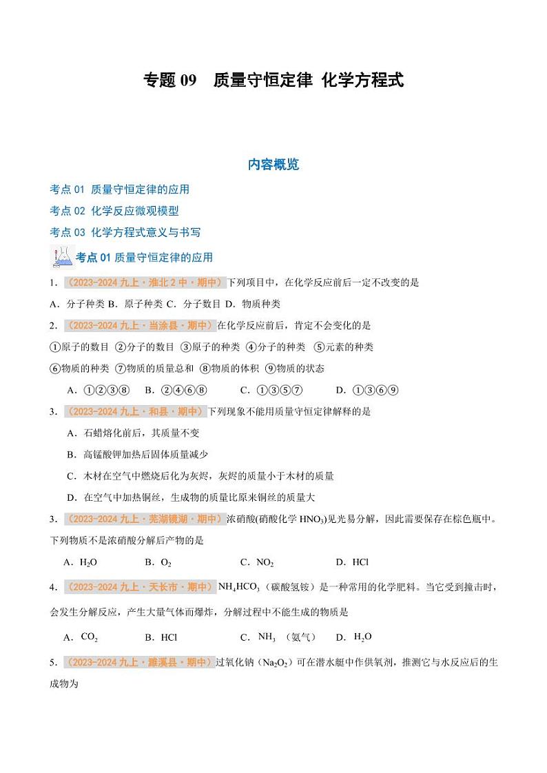专题09 质量守恒定律 化学方程式(含答案) 备战2024-2025学年九年级化学上学期期中真题分类汇编 练习(安徽专用)01