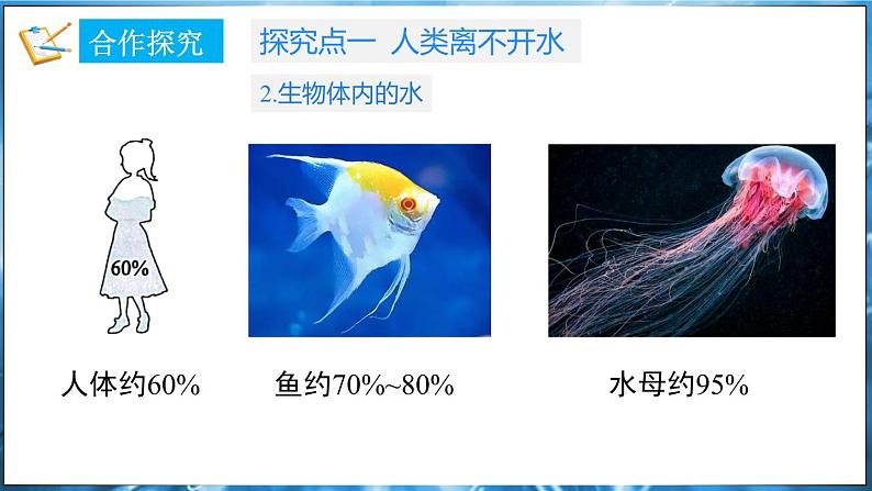 3.4 水资源 课件---2024-2025学年九年级化学科粤版(2024)上册06