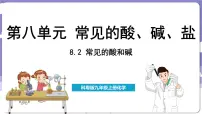 化学九年级下册8.2 常见的酸和碱说课ppt课件