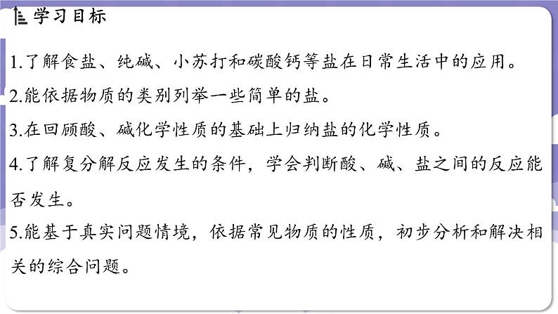 8.4 常见的盐(课件)---2024-2025学年九年级化学科粤版(2024)下册第2页