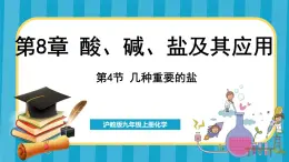 8.4 几种重要的盐（课件）---2024-2025学年九年级化学沪教版（全国）(2024)下册