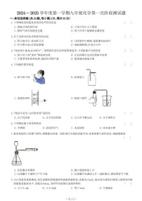 山东省日照市经济技术开发区献唐中学2024-2025学年九年级上学期10月月考化学试卷