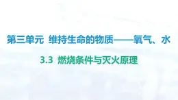 3.3  燃烧条件与灭火原理课件-2024-2025学年九年级化学科粤版（2024）上册