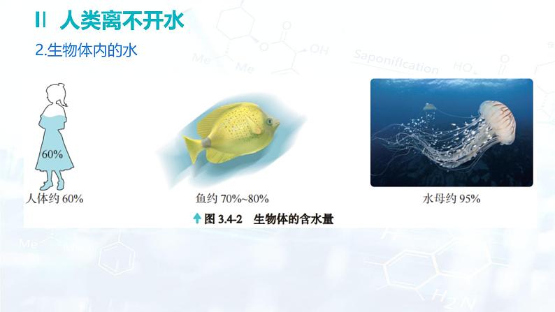 3.4 水资源---3.5 跨学科实践活动:水的净化与自制净水器课件---2024-2025学年九年级化学科粤版(2024)上册第6页