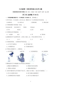 山东省青岛市黄岛区黄岛初级中学2024-2025学年九年级上学期10月月考化学试卷