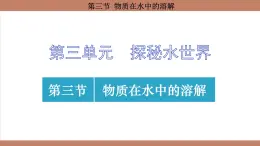 鲁教版（2024）初中化学九年级上册--3.3 物质在水中的溶解 （课件）