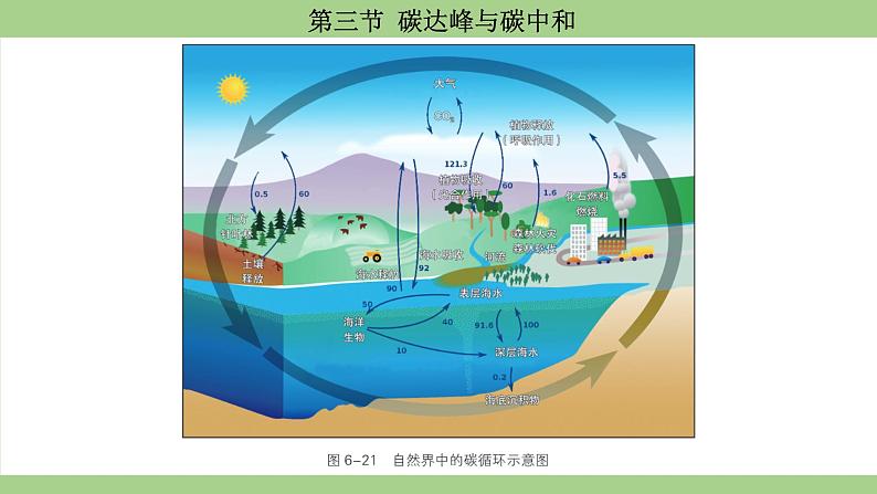 鲁教版(2024)初中化学九年级上册--6.3 碳达峰与碳中和 (课件)第4页
