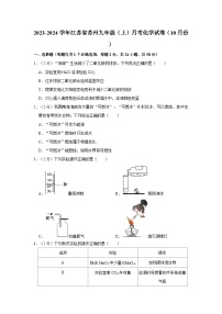 2023-2024学年江苏省苏州九年级（上）月考化学试卷（10月份）