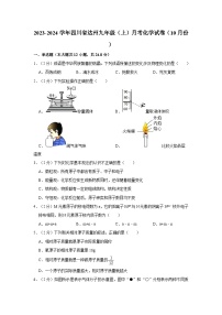 2023-2024学年四川省达州九年级（上）月考化学试卷（10月份）