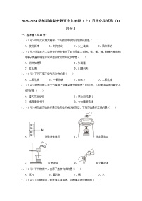 2023-2024学年河南省安阳五中九年级（上）月考化学试卷（10月份）