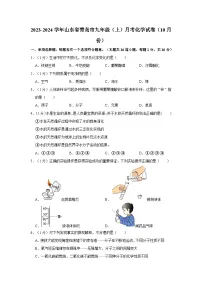 2023-2024学年山东省青岛市九年级（上）月考化学试卷（10月份）