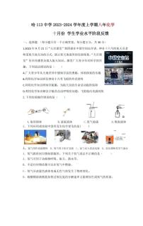 2023-2024学年黑龙江省哈尔滨113中学八年级(上)月考化学试卷(10月份).