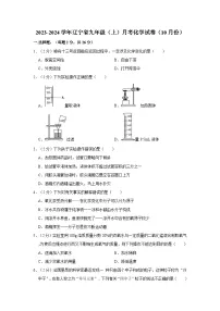 2023-2024学年辽宁省九年级(上)月考化学试卷(10月份)