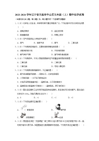 2023-2024学年辽宁省大连市中山区九年级（上）期中化学试卷