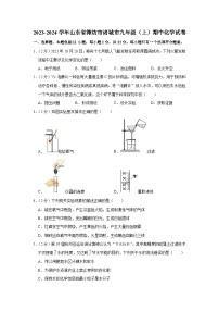 2023-2024学年山东省潍坊市诸城市九年级(上)期中化学试卷