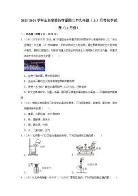2023-2024学年山东省临沂市蒙阴三中九年级(上)月考化学试卷(12月份)