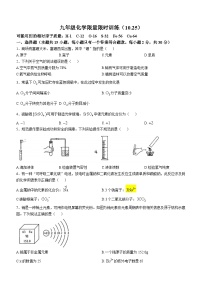 江苏省南京市金陵中学河西分校2024-2025学年九年级上学期化学期中复习试卷(无答案)