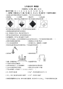河南省开封市通许县2024-2025学年九年级上学期期中考试化学试题(无答案)