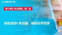 人教版（2024）九年级下册（2024）实验活动8 常见酸、碱的化学性质示范课课件ppt