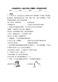 山东省滨州市2025届九年级上学期第一次检测化学试卷(含答案)