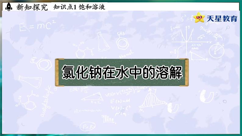 人教版(2024)九年级下册化学--9.2 溶解度(课件+素材)04