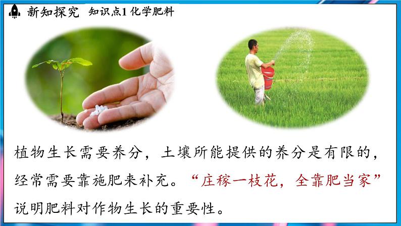 第十单元 课题3 常见的盐(第四课时)第4页