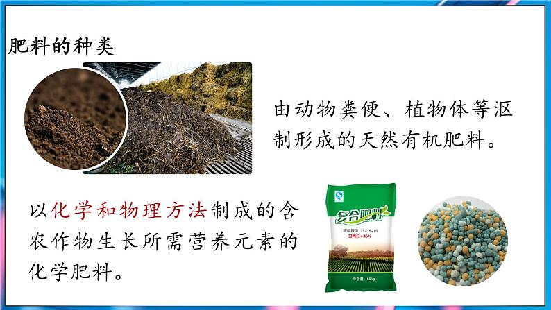 第十单元 课题3 常见的盐(第四课时)第5页