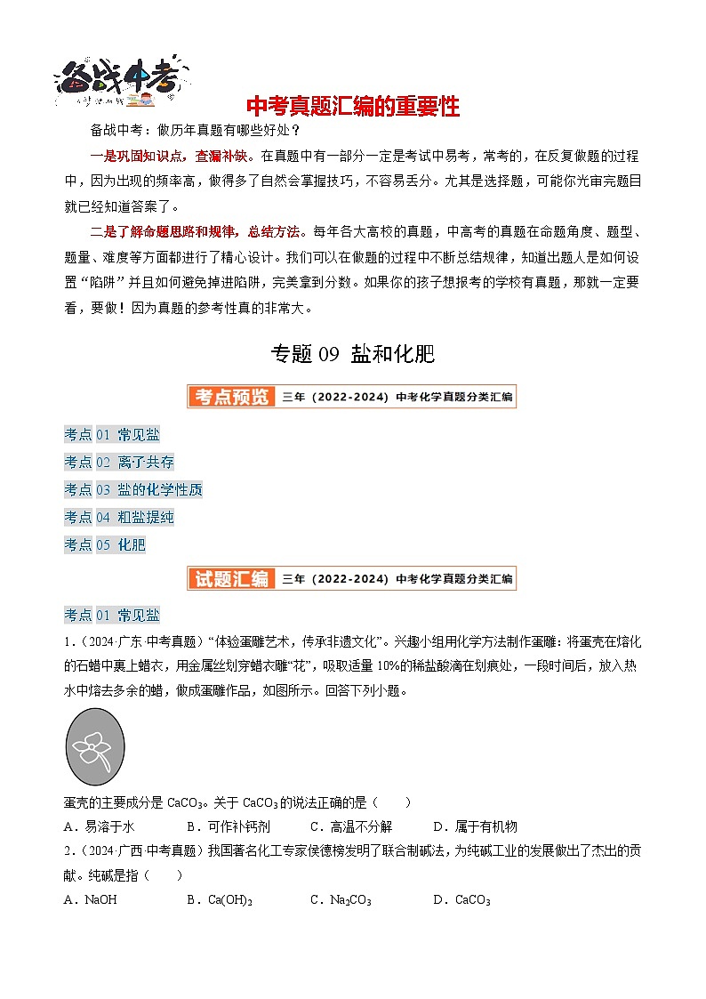 专题09 盐和化肥-【真题汇编】2022-2024年中考化学真题分类汇编(全国通用)01
