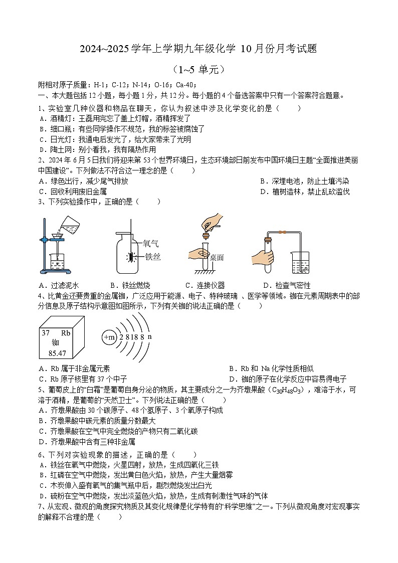 安徽省合肥市肥东县尚真中学2024~2025学年九年级上学期10月份月考化学试题01