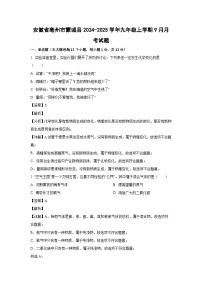 安徽省亳州市蒙城县2024-2025学年九年级上学期9月月考化学试题(解析版)