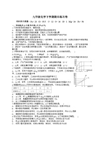 广东省汕头市2024-2025学年九年级下学期化学期末练习卷(内附答案和答题卷)