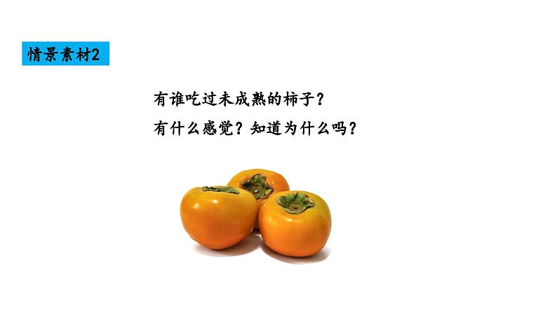 10.2 常见的酸和碱 第2课时 常见的碱-课件---2024-2025学年九年级化学人教版(2024)下册04