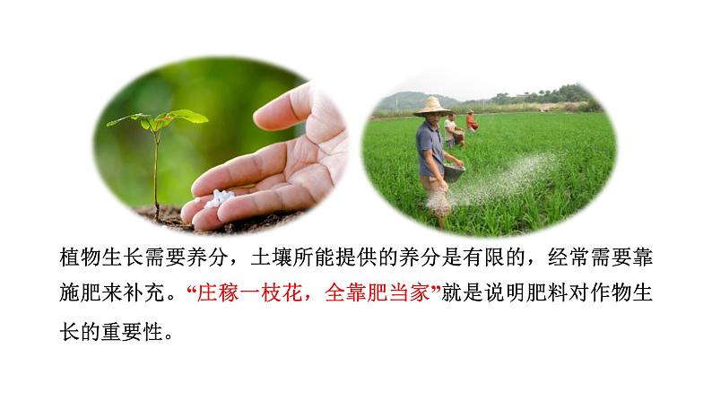10.3 常见的盐 第3课时 化肥-课件---2024-2025学年九年级化学人教版(2024)下册06