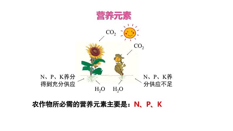 10.3 常见的盐 第3课时 化肥-课件---2024-2025学年九年级化学人教版(2024)下册07