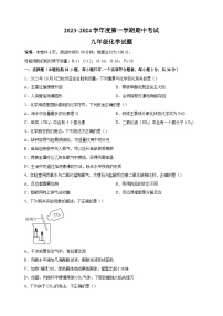 江苏省徐州市邳州市2023-2024学年九年级上学期期中抽测化学试卷(含答案解析)