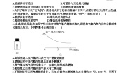 初中化学鲁教版（2024）九年级上册（2024）第六单元 控制燃烧复习练习题