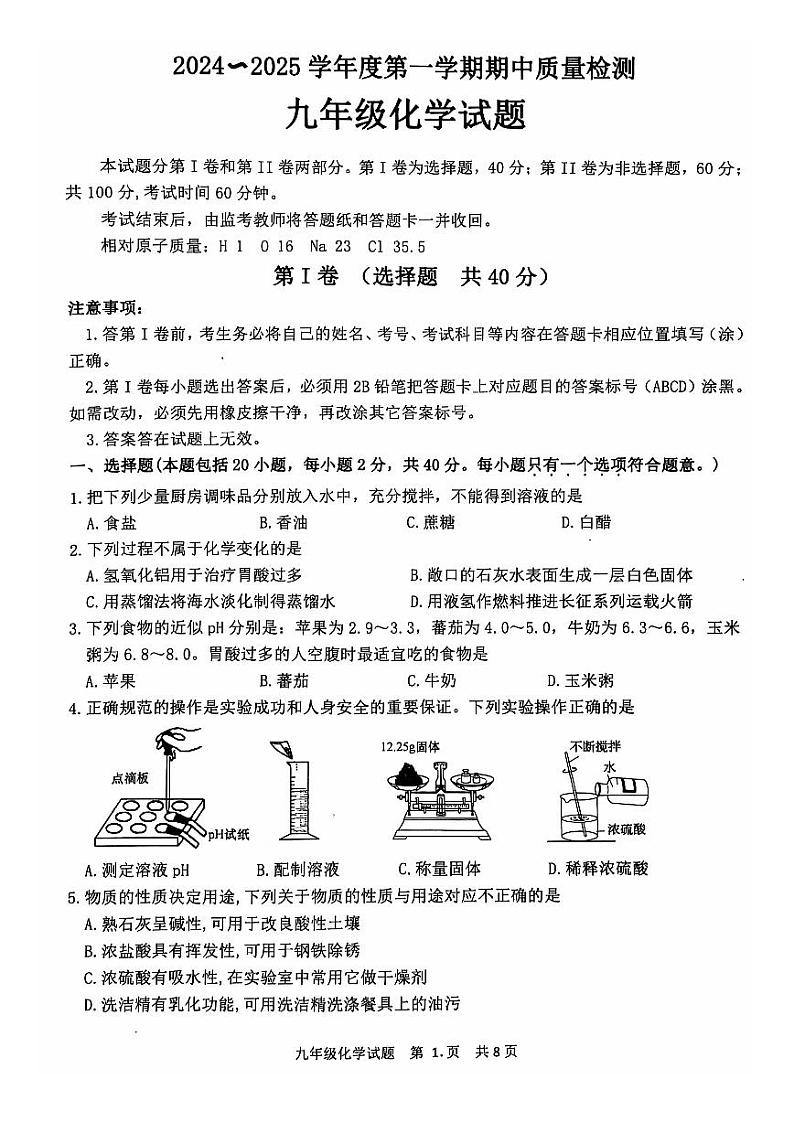 山东省泰安市东平县2024-2025学年九年级上学期11月期中考试化学试题第1页