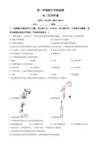山东省泰安市新泰市2024-2025学年八年级上学期期中化学试题