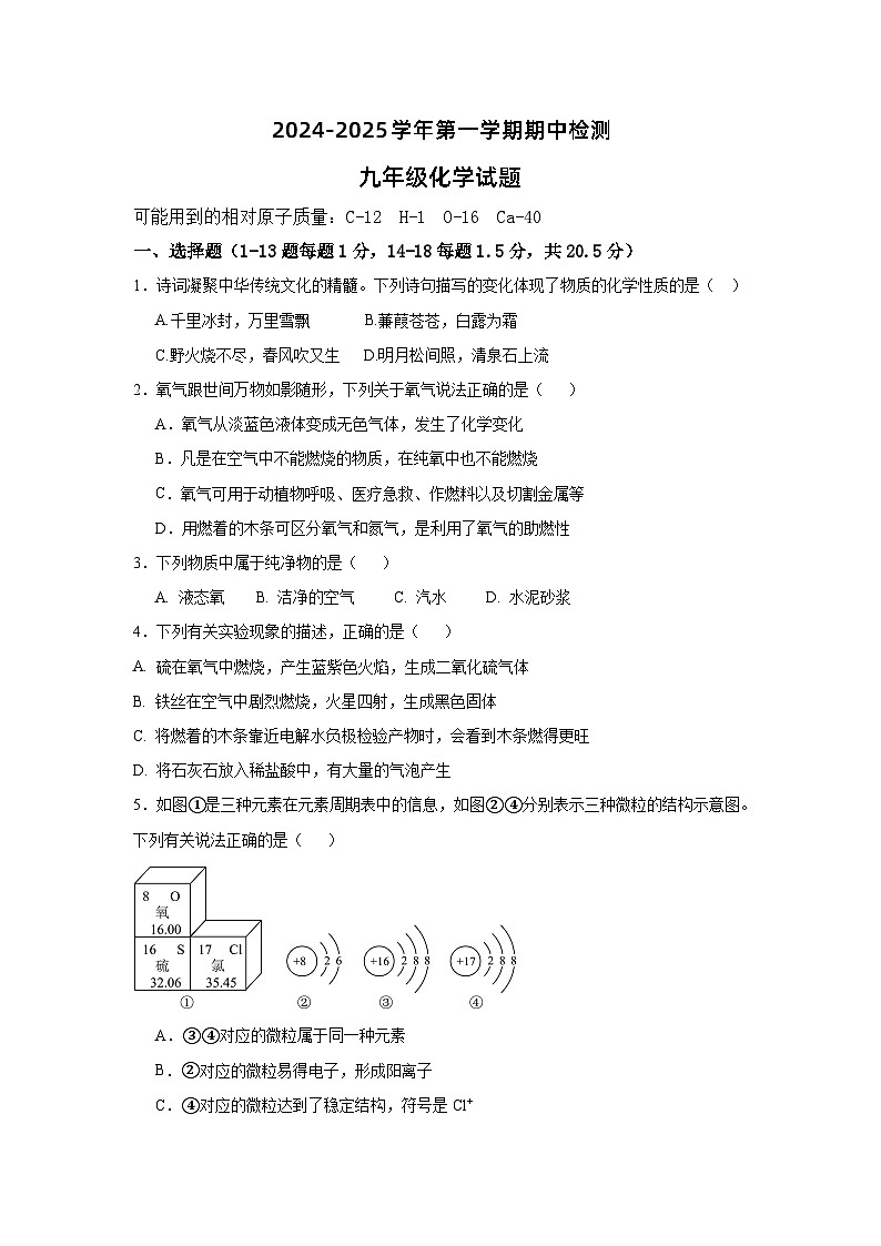 山东省宁津县大庄中学2024-2025学年九年级上学期期中检测化学试题第1页